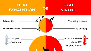 Heat Sweating Summer Extreme Heat – East Shore District Health Department
